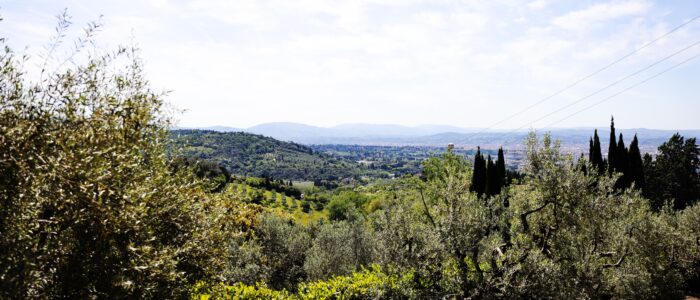 struttura-bedandberli-9