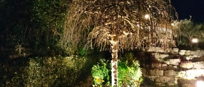 Immagine WhatsApp 2025-03-04 ore 19.30.10_5ec34214